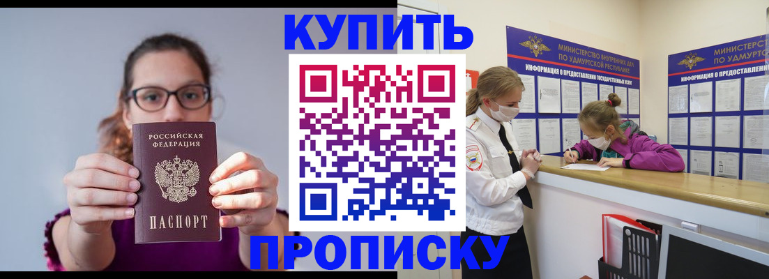 прописка 2025 в Мончегорске